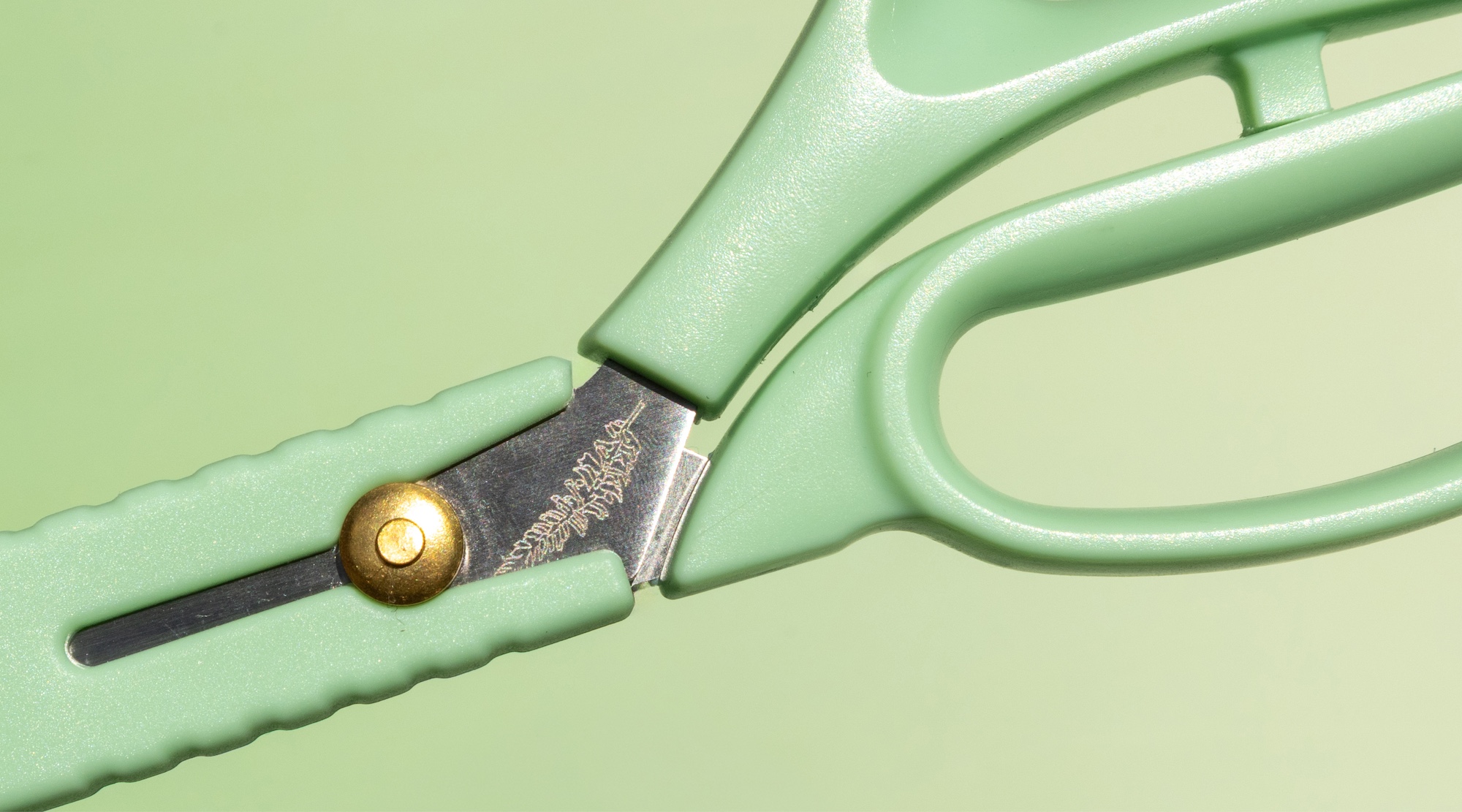 Bloom Series scissors engraved with Canadian wildflowers